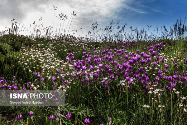 دریاچه نئور