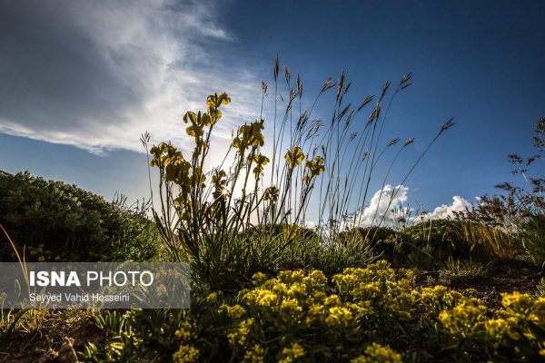 دریاچه نئور