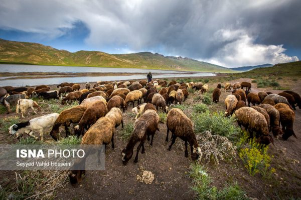 دریاچه نئور