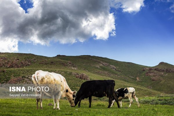 دریاچه نئور