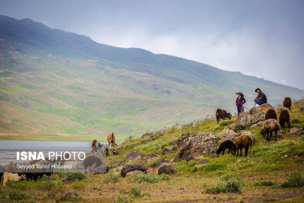 دریاچه نئور