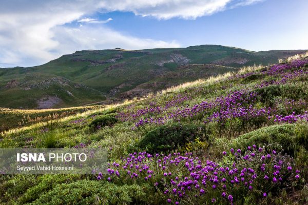 دریاچه نئور