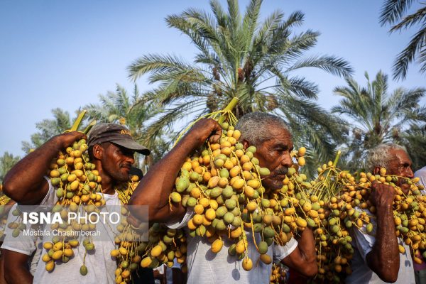 مراسم مغ و مشتا
