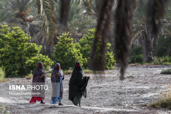 مراسم مغ و مشتا