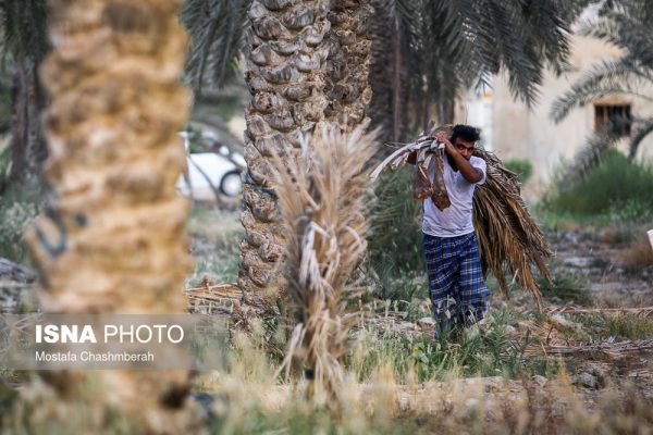 مراسم مغ و مشتا