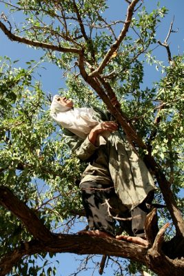 منظر فرهنگی میمند
