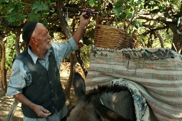 منظر فرهنگی میمند