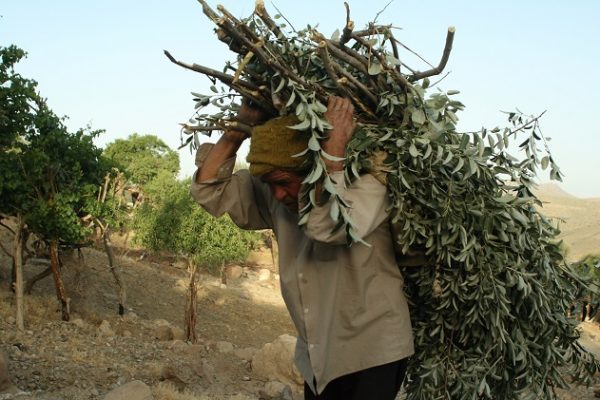 منظر فرهنگی میمند