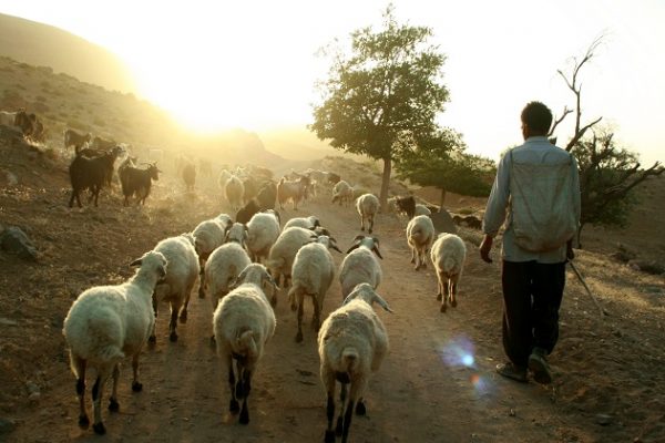 منظر فرهنگی میمند
