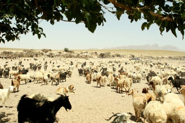 منظر فرهنگی میمند