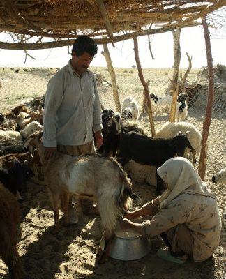 منظر فرهنگی میمند