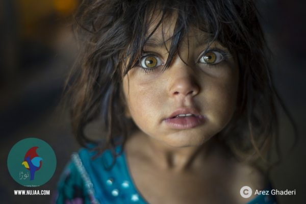 ئاریز قادری