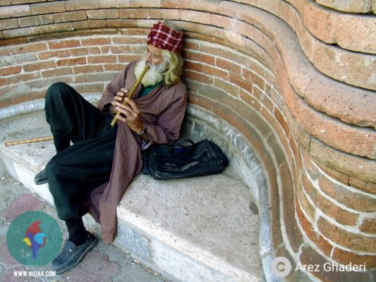 ئاریز قادری