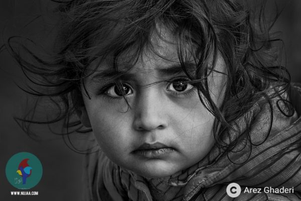 ئاریز قادری