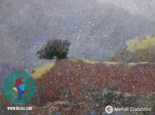 مهدی ضیاءالدینی