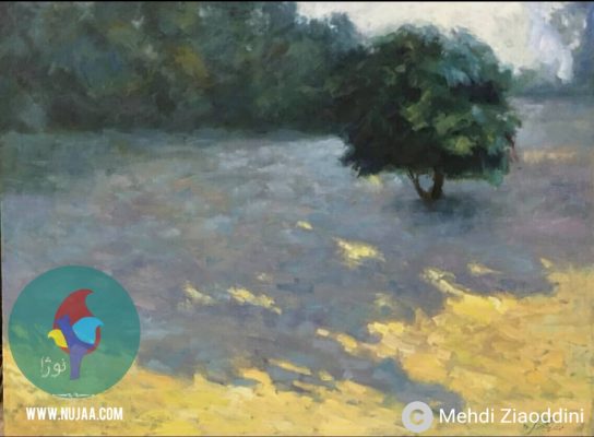 مهدی ضیاءالدینی