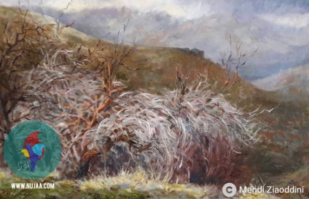 مهدی ضیاءالدینی