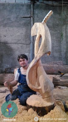 محمد علی ودود