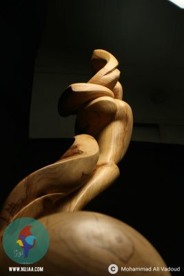 محمد علی ودود