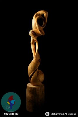 محمد علی ودود