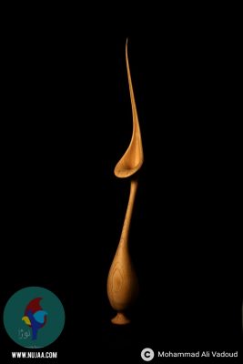 محمد علی ودود