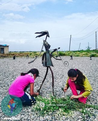 سیوان سعیدیان