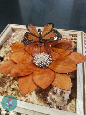 فرامرز توکلی