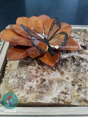 فرامرز توکلی