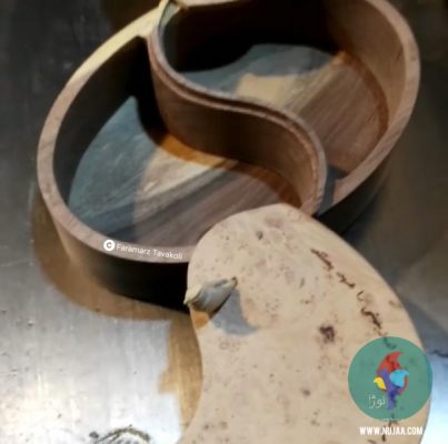 فرامرز توکلی