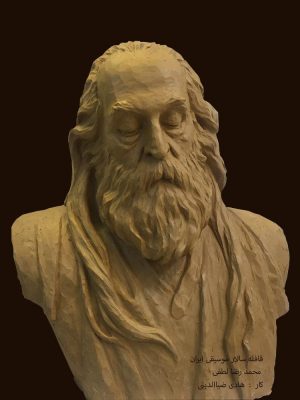 هادی ضیاءالدینی