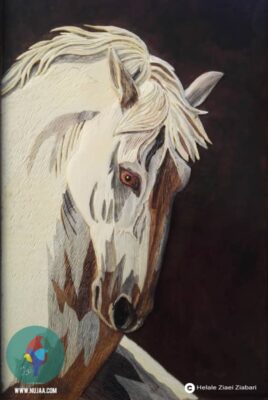 هلاله ضیایی ضیابری