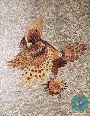 هلاله ضیایی ضیابری