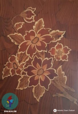 هلاله ضیایی ضیابری