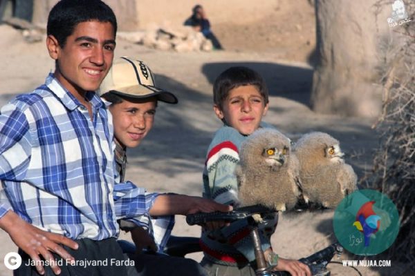 جمشید فرجوند فردا