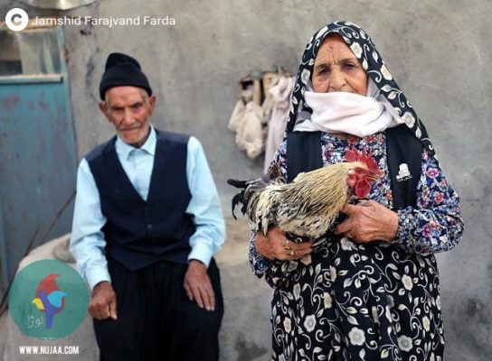 جمشید فرجوند فردا