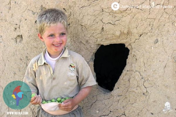 جمشید فرجوند فردا