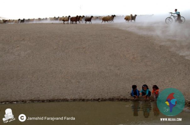 جمشید فرجوند فردا