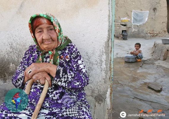 جمشید فرجوند فردا