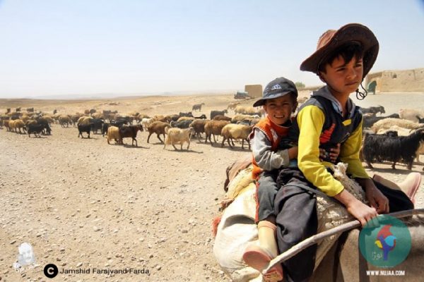 جمشید فرجوند فردا