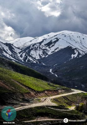 کیوان شفیعی