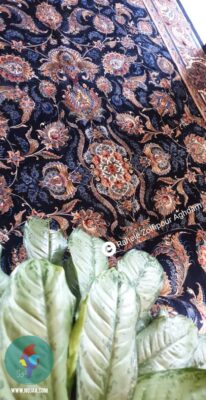 راحله زلفی پور اقدم