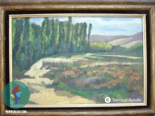 تیمور ایوبی