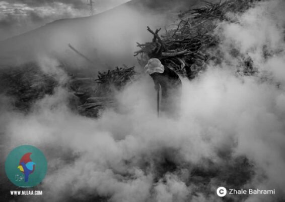 ژاله بهرامی