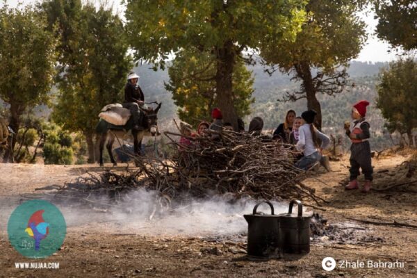 ژاله بهرامی