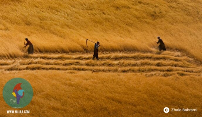 ژاله بهرامی