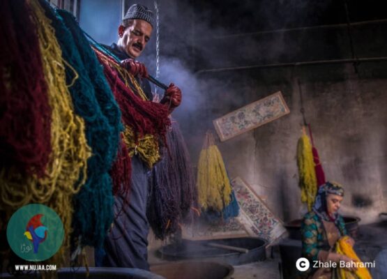 ژاله بهرامی