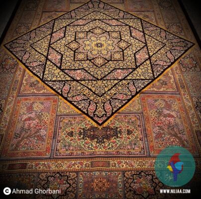 احمد قربانی