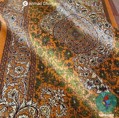 احمد قربانی