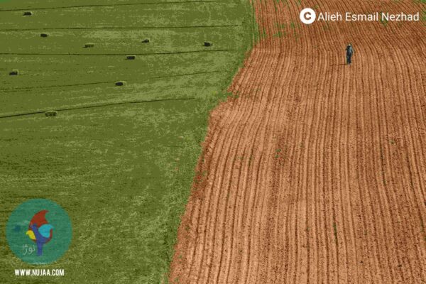 عالیه اسمعیل نژاد