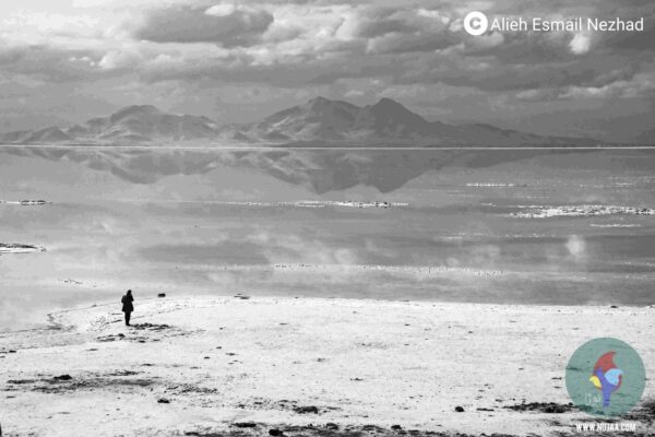 عالیه اسمعیل نژاد